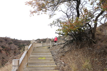 山谷栈道