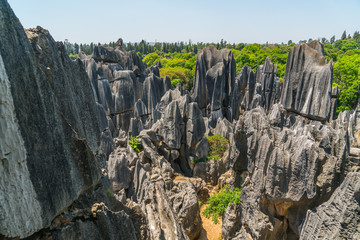 云南石林风景区