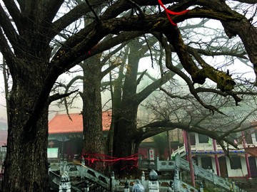 鲁山文殊寺