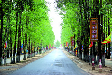 内蒙古乡村道路