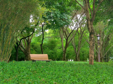 绿色园林风景