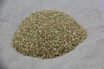 糙米 玄米 粗米 糙米饭 吃糙