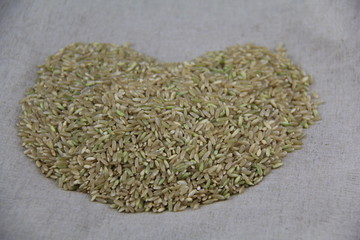 糙米 玄米 粗米