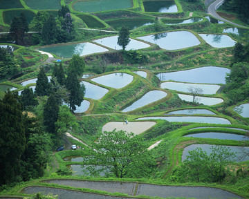 风景 四季 日本 田野 樱花