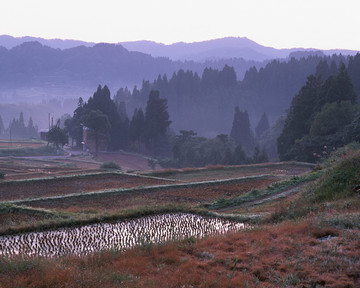 风景 四季 日本 田野 樱花