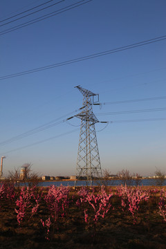 供电 高压线 电塔 能源 电线