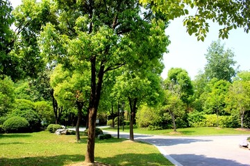 扬州荷花池公园