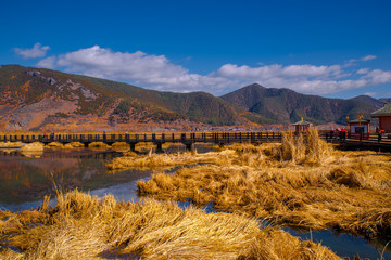 泸沽湖草海湿地