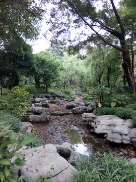 驾鹤小桃源风景