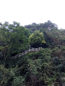 柳州江边风景