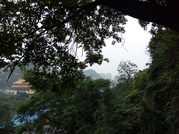 驾鹤山风景