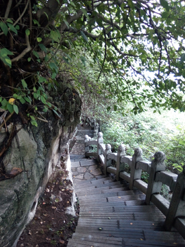 驾鹤山风景