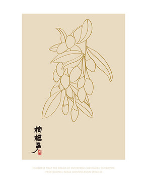 枸杞子 手繪枸杞子 矢量枸杞子