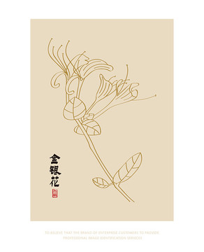 金銀花 手繪金銀花 矢量金銀花