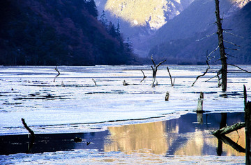 油画风景 静静地湖水