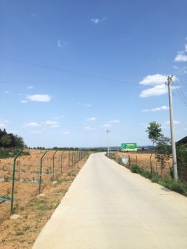 农村马路