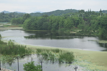 平天湖湖面