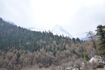 高原风景