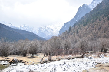 高原风景