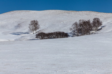 乌兰布统坝上草原冬季冰雪风光