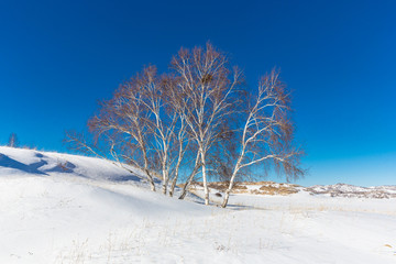 乌兰布统坝上草原冬季冰雪风光