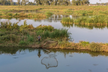 沼泽湿地里水鸟捕鱼 8246