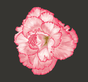 花頭1