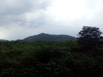 乡村风景 非高清