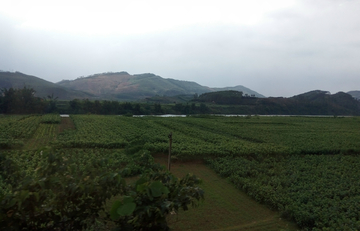 广西乡村风景 非高清