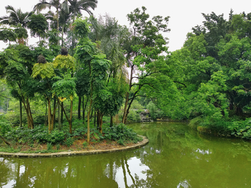 公园湖畔风景 广西柳州柳侯公园