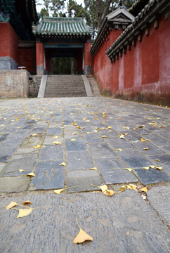 少林寺建筑