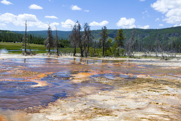 美国黄石国家公园火山硅酸盐