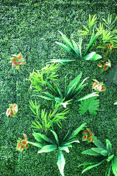 中国环博会 植物墙 植物 绿色