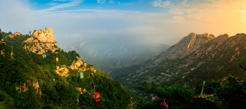 平邑蒙山老寿星