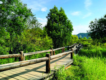 漠河县 北极村 景区 旅游