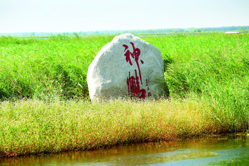 齐齐哈尔 扎龙湿地 景区