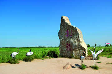 齐齐哈尔 扎龙湿地 景区