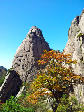 安徽省黄山市 黄山风景区