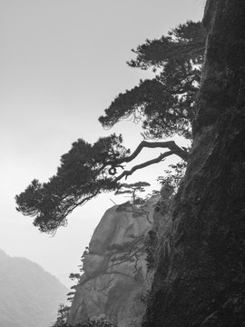 江西 上饶 三清山 风光