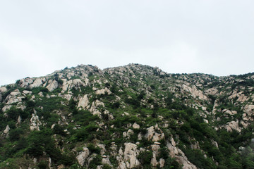 山