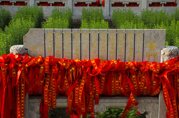 太昊陵庙蓍草园