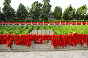 太昊陵蓍草园