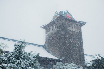 南京大学雪景