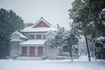 南京大学雪景