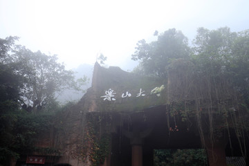 雾中的乐山大佛景区