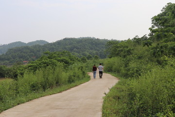 水泥山路