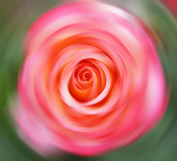 花卉裝飾