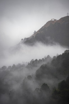 青山 云海