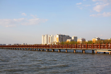 大慶 黎明湖 黎明湖公園