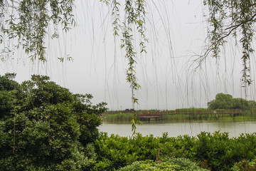 柳岸湖泊